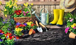 Garden Services.